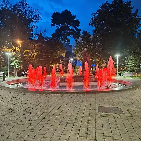 Packe 15 * 부쿠레슈티